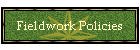 Fieldwork Policies